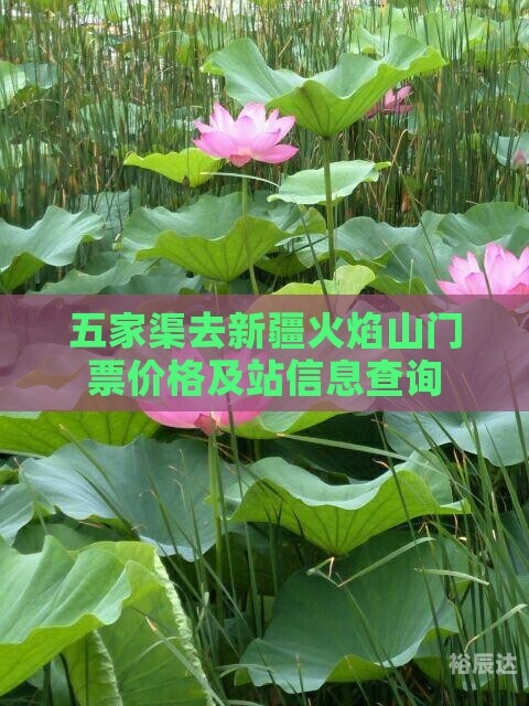 五家渠景点介绍