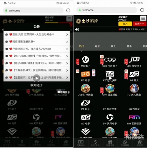 博彩资讯网，揭秘最新博彩动态-第2张图片