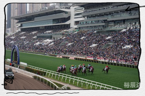 香港赛马会精选资料大全香港赛马会精选资料大全
