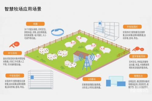 帝苑平台，智慧生活的新篇章-第2张图片
