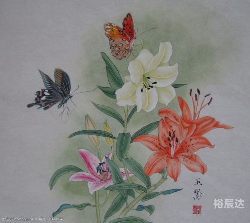 百合心水图库，探寻艺术之美-第2张图片
