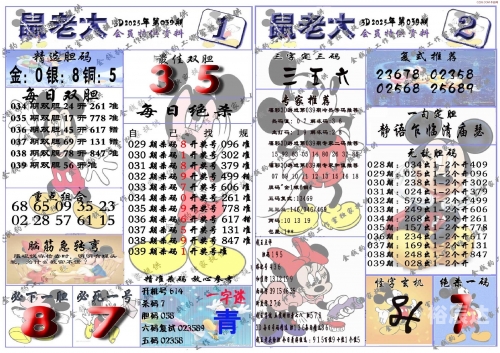 49图库港澳台开奖，探索神秘彩池-第3张图片