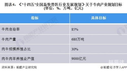 2021年香港正版资料全集，全面解析与深度解读