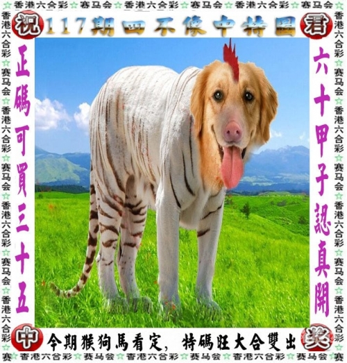 澳门资料大全正版资料2023年免费匠子生活澳门资料大全正版资料2023年-第2张图片