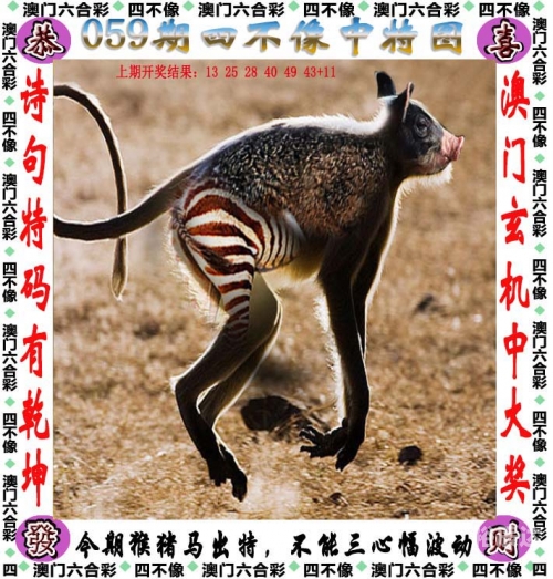 2023澳门今晚开特马开244期澳门今晚开特马开盛况揭晓