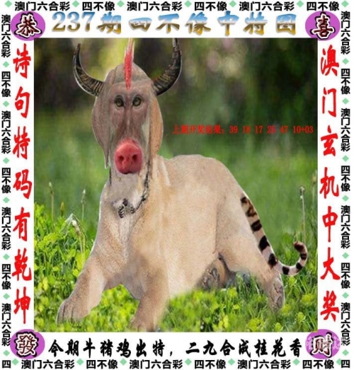 四肖期期准，把握预测的精准时刻