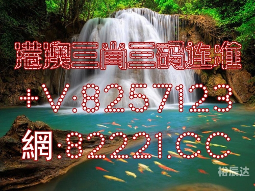 一码一肖100准资料应用