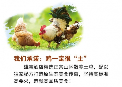 吃鸡蔡老板蔡老板与吃鸡背后的美食传奇