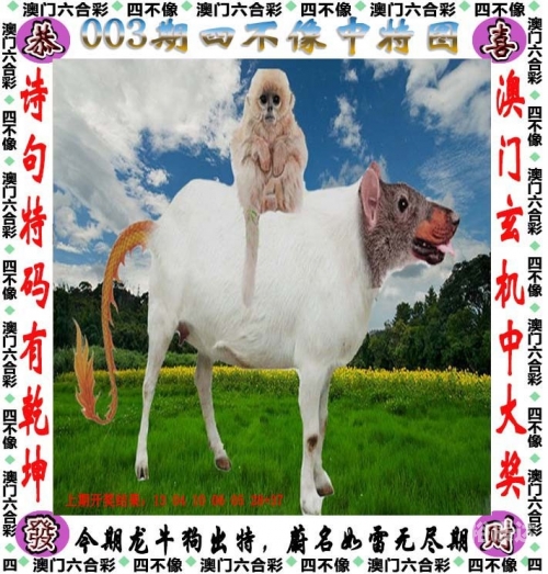 澳门最准的一肖一码砧澳门最准一肖一码一码匠子生活-第2张图片
