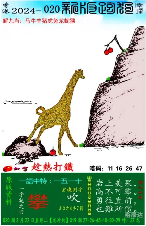 管家婆王中王开奖结果十记录网管家婆王中王开奖结果十记录网文章