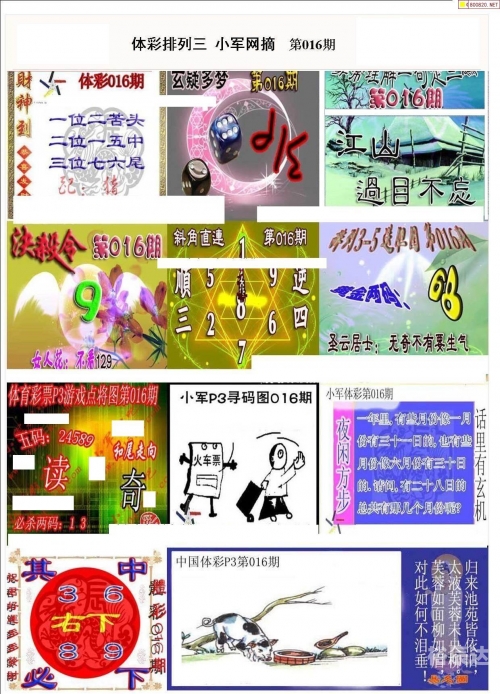 二四六天天彩资料大全网，彩票爱好者必备指南