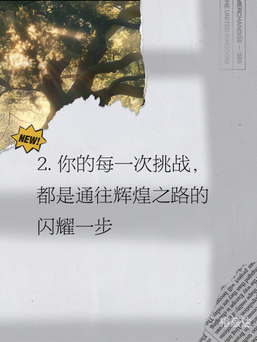 赢在中国全集下载，探索成功之路的智慧宝典