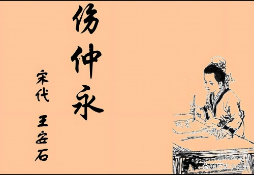 神童网，开启智慧之门