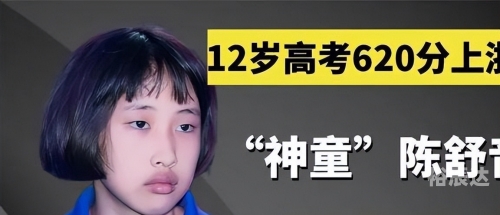 神童网，开启智慧之门-第3张图片