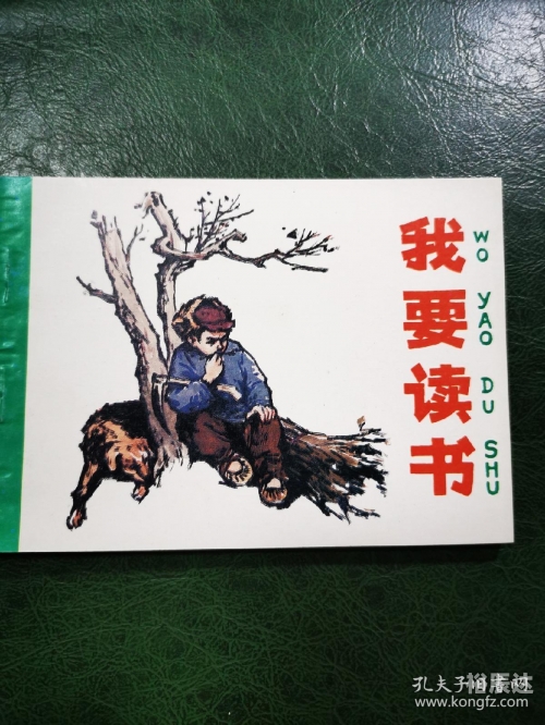 要看书网站TXT下载要看书网，阅读新体验