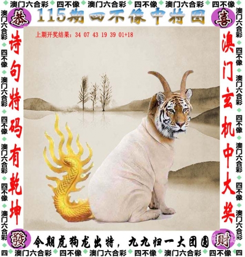 澳门今晚预测，肖码预测与2023展望