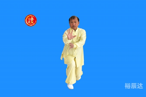 六合拳彩资料分析