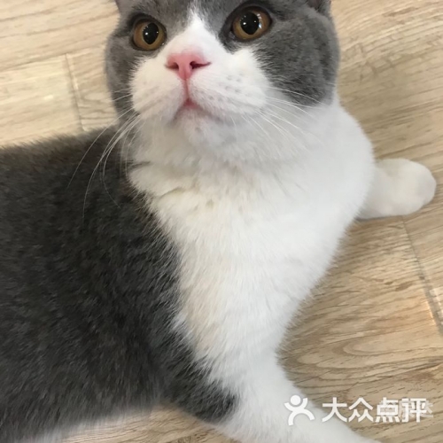 新万博狗万，游戏产业的璀璨新篇章-第3张图片