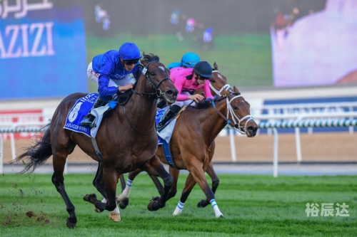 香港马会2019 开奖结果历史记录香港马会2019开奖结果历史记录-第2张图片