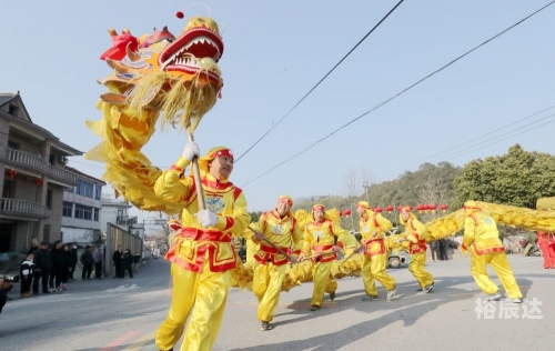 浙江快乐12一定牛