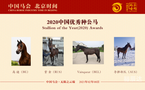 2021今晚特马免费资料大放送