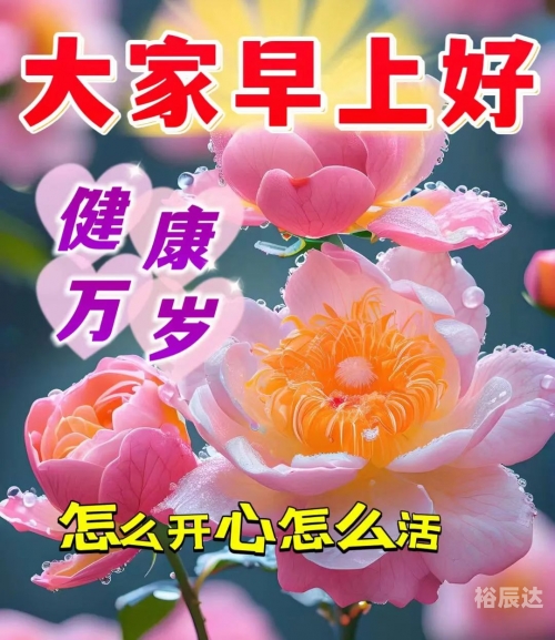 12月5日是什么日子?12月5日是什么日子？-第2张图片