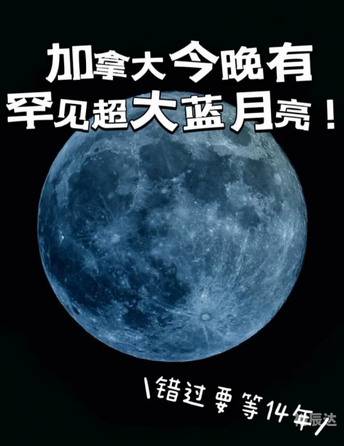 蓝月亮网站制作蓝月亮网站，探索科技与生活的交汇点