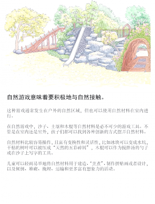 森林游戏，探索自然的奇妙世界