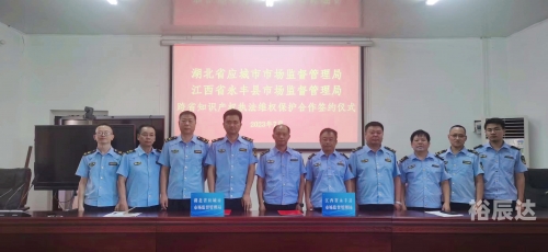 正版四不像，探索知识产权与市场新形态