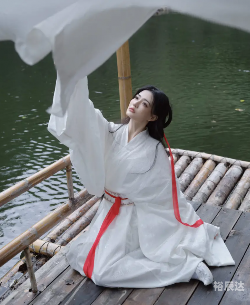 夺命医仙全文免费阅读夺命医仙，神秘医术与生死之间的较量-第2张图片