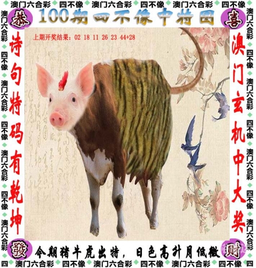 最准一码一肖100%精准老钱庄三天打鱼 两天晒网最准一码一肖，老钱庄精准预测的神秘力量-第2张图片