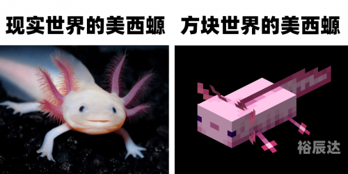 期待冒险-第2张图片