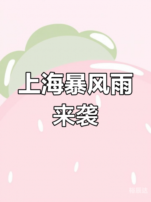 上海特大暴雨上海特大暴雨，暴雨肆虐下的城市挑战-第2张图片