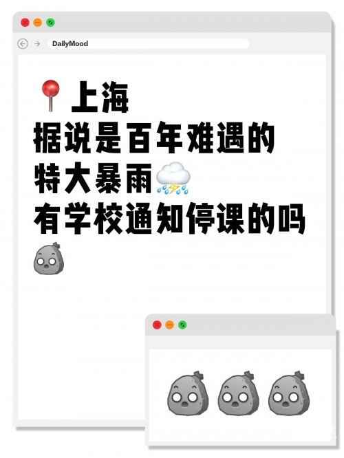 上海特大暴雨上海特大暴雨，暴雨肆虐下的城市挑战