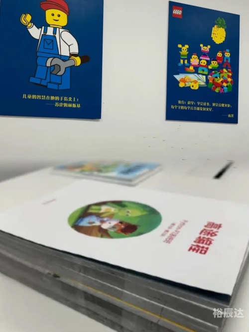 本港同步现场开奖直播，实时互动与乐趣