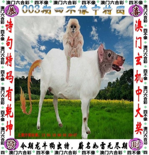 澳门最准的一肖一码砧澳门最准一肖一码一码匠子生活