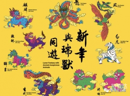 2019年马会正版2019马会正版，正版之风引领新篇章