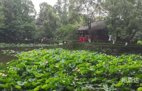 荷桂生态文化旅游节盛大开幕