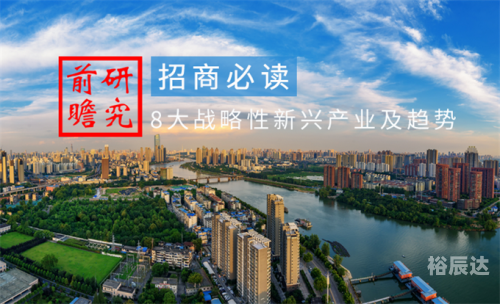 大战略2中文版手机版下载大战略2下载，引领未来战略决策的智慧宝典-第2张图片