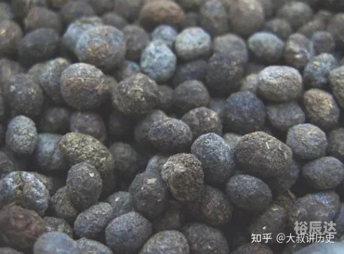老衲法号老衲法号，修行之路