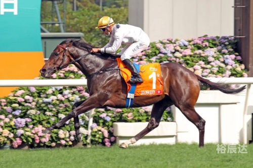 香港马会2021年开奖日期香港马会2021年开奖日期揭晓-第2张图片