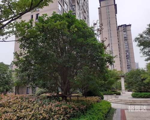 芳草地论坛高手论坛内容介绍芳草地论坛，探索网络交流的新天地-第2张图片