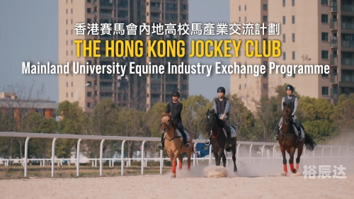 香港马赛马会最准资料