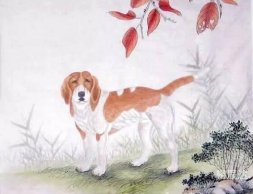 2019年今晚开什么码精准一码2019年今晚开什么特马
