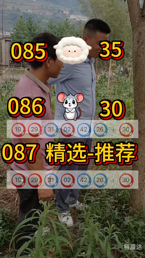 新澳精准资料免费提供网站有哪些新澳精准资料免费提供网站推荐-第3张图片