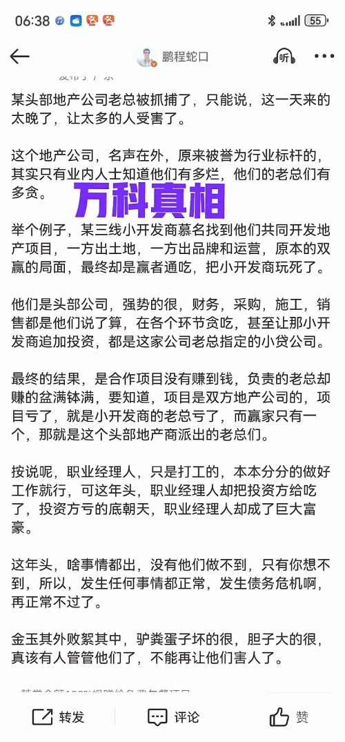万科融资成本万科融资策略与挑战