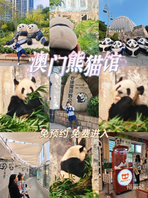 澳门最准最快的资料免费手机澳门最准最快的资料免费获取攻略