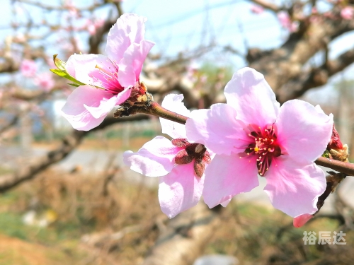 3月21日，春天的启幕与新希望的开始