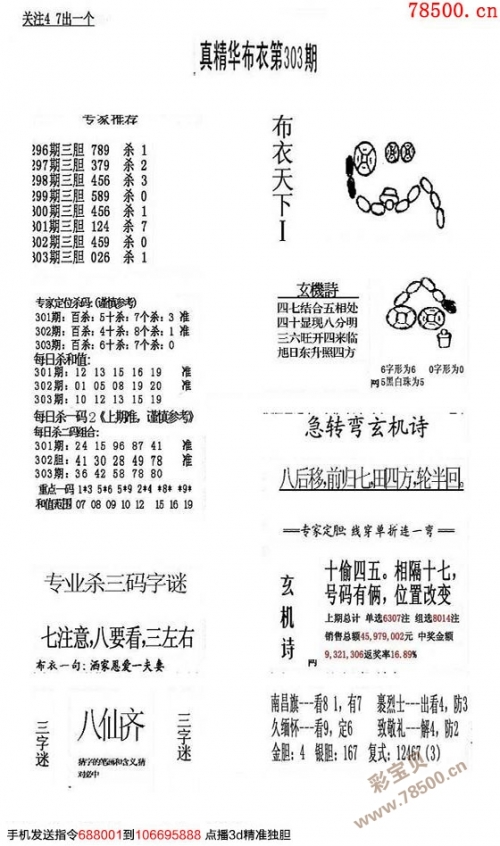 天下彩wap天下彩wap，网络世界的彩头之选