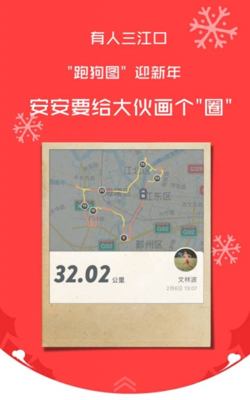 跑狗网论坛新一代5043cm跑狗网，引领宠物健康与训练的新潮流-第2张图片